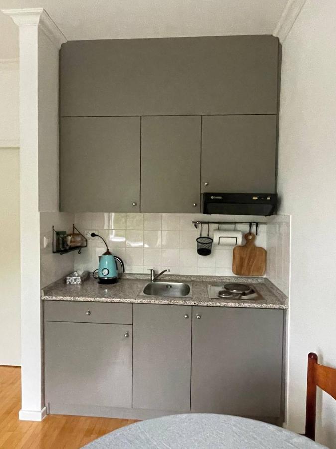 Apartment Vilapark 14 ロガシュカ・スラティナ エクステリア 写真